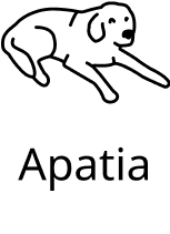 apatia